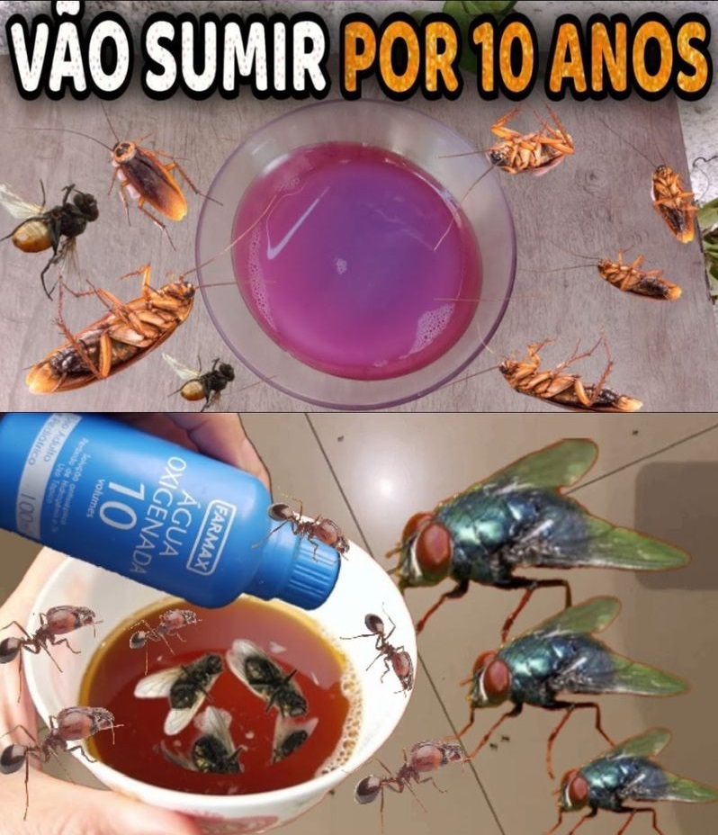 Inseticida Caseiro Acaba com Mosquitos Moscas e Outros Insetos